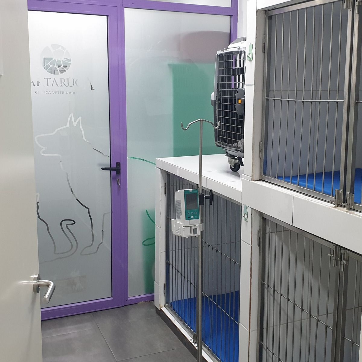 hospitalización perros