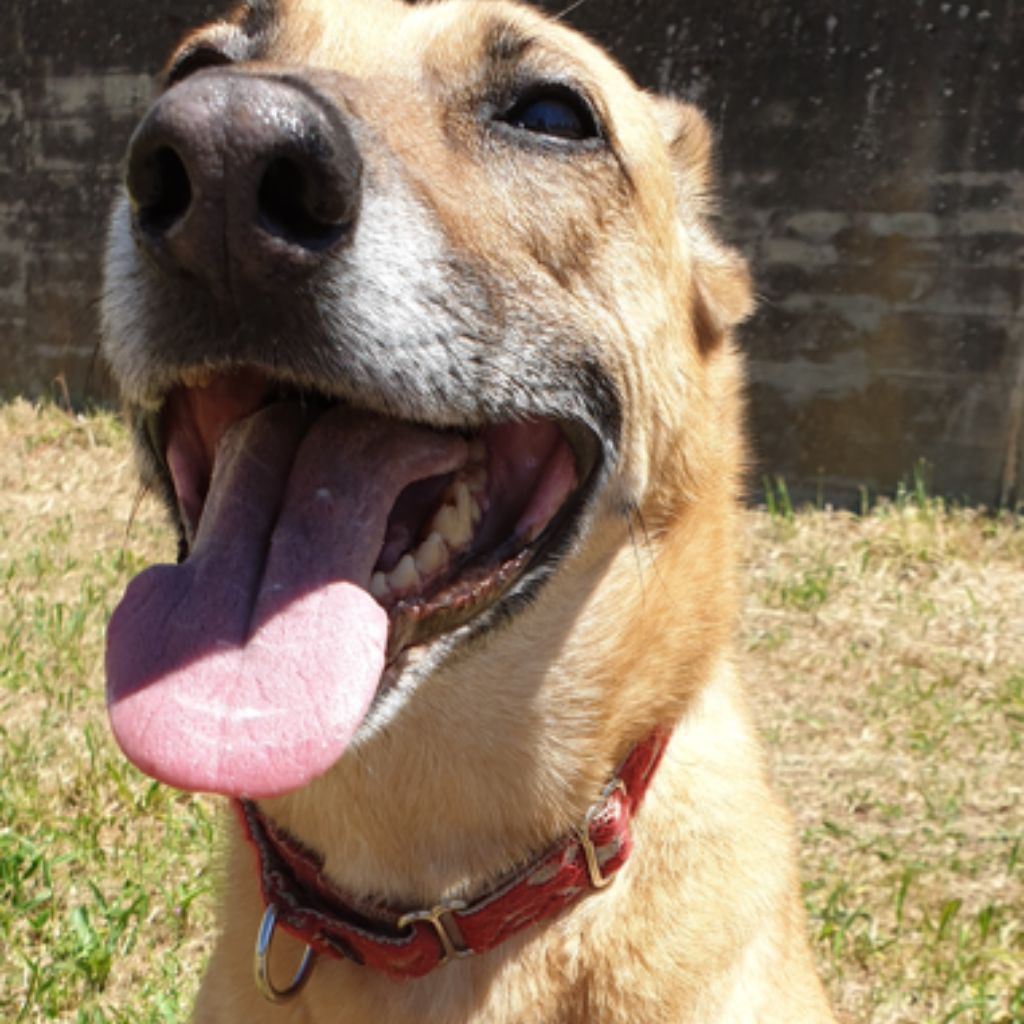 greta en el exterior