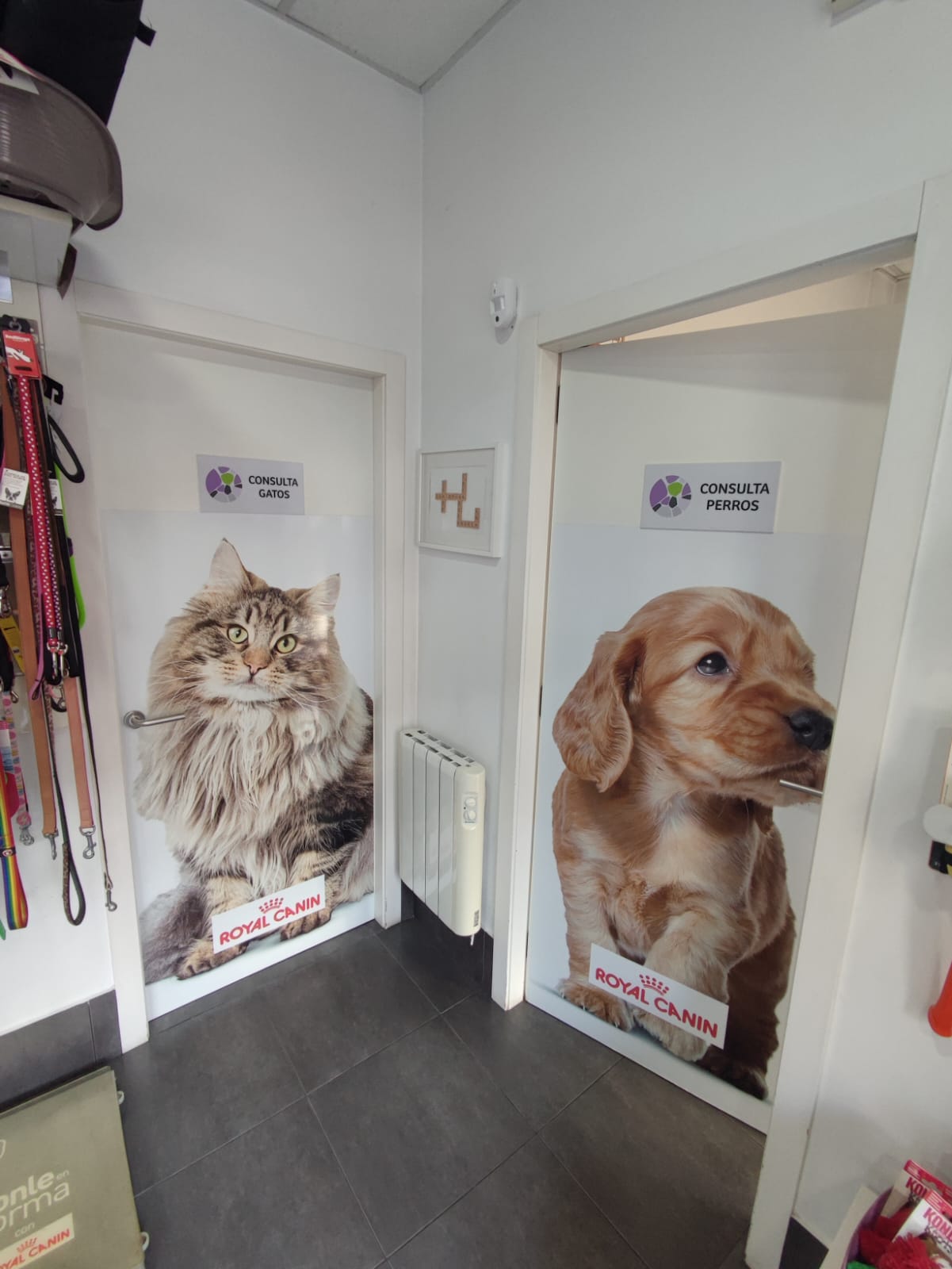 Puertas separadas gatos y perro consulta