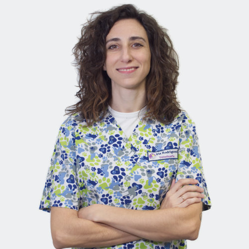 Iria veterinaria Tartaruga