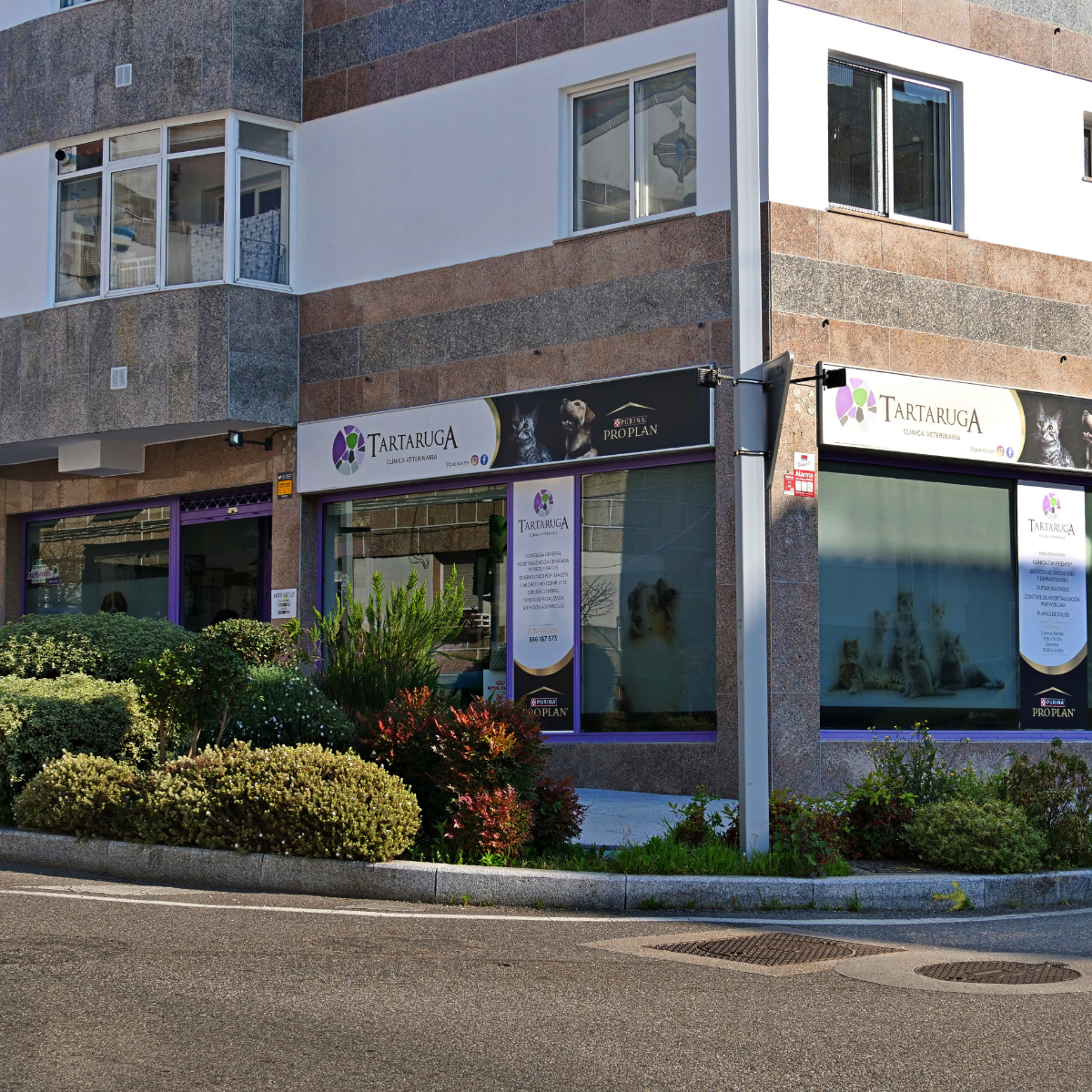 fachada tartaruga
