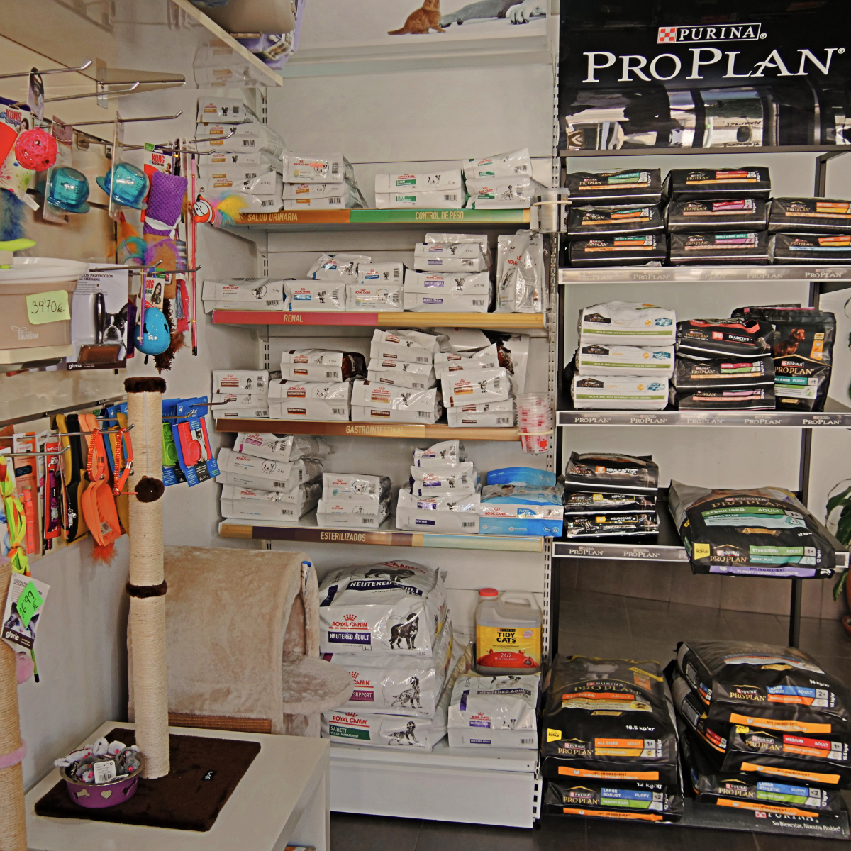 alimentación proplan