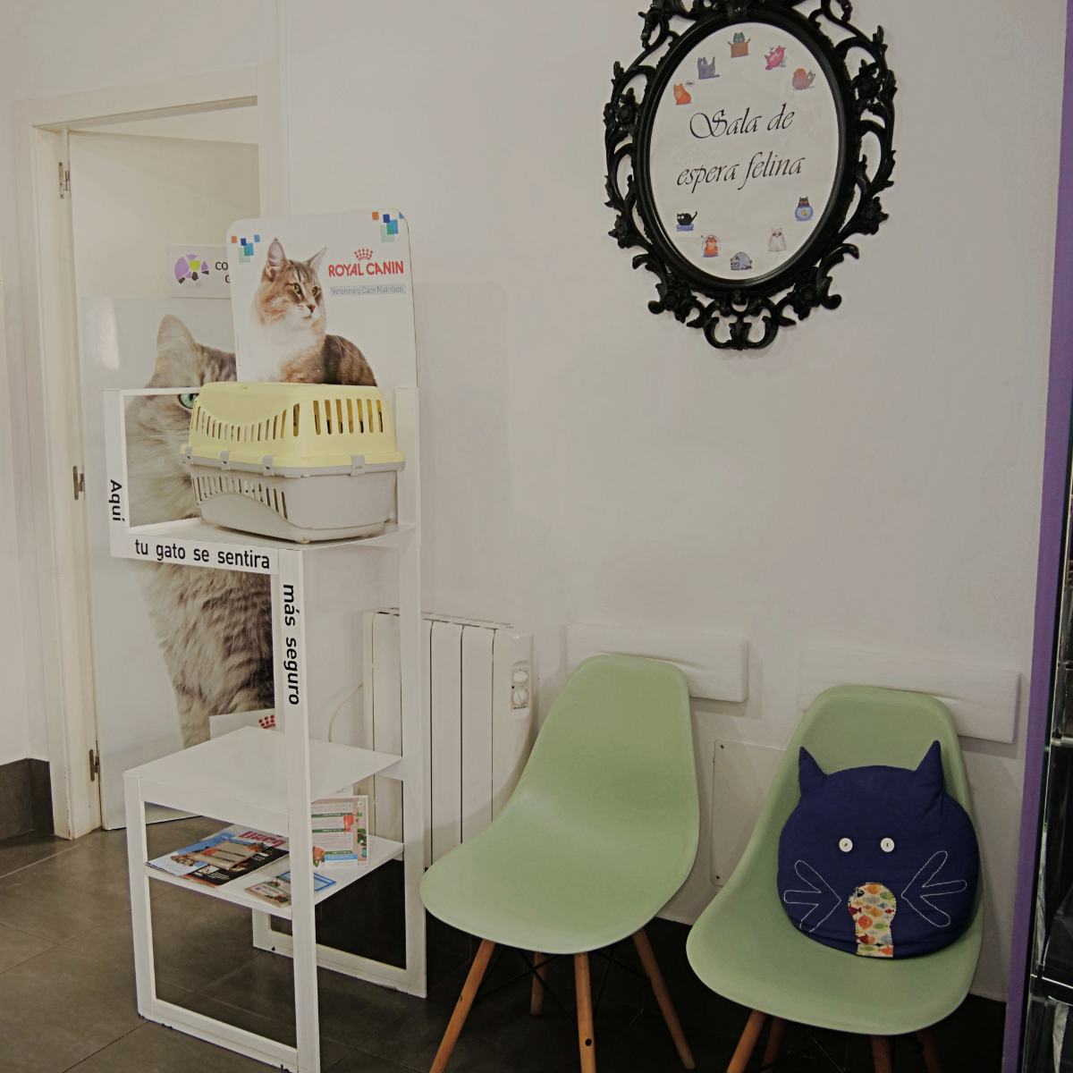 Sala espera gato