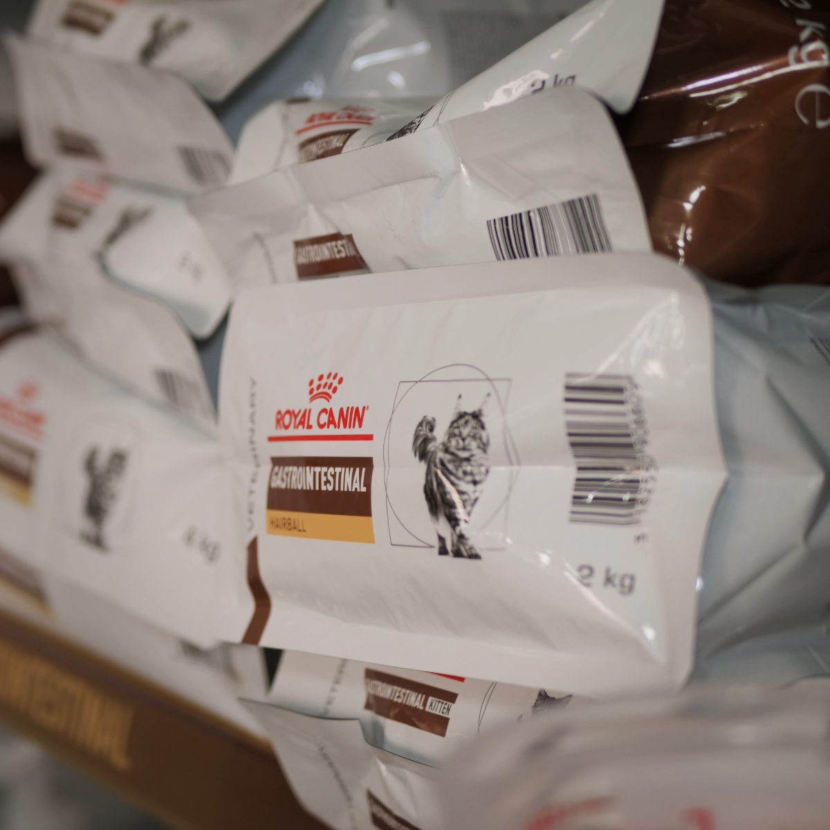 Pienso royal canin gatos
