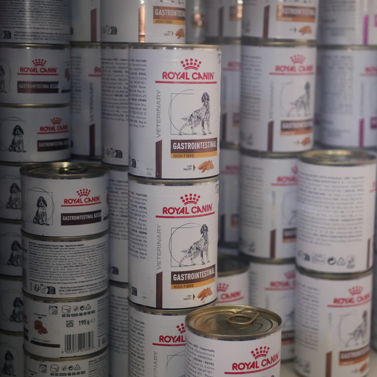 Latas royal canin