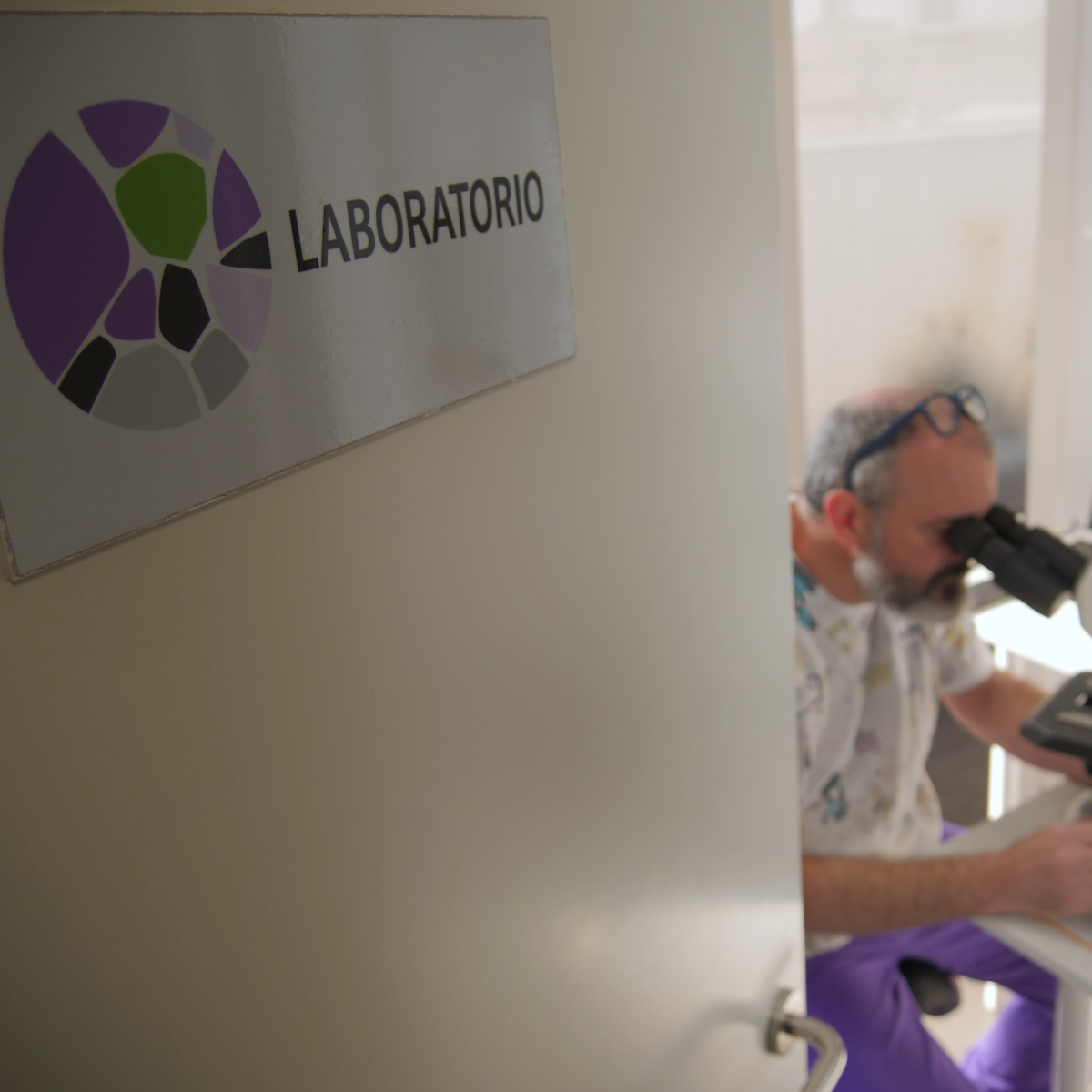 Laboratorio Tartaruga CV