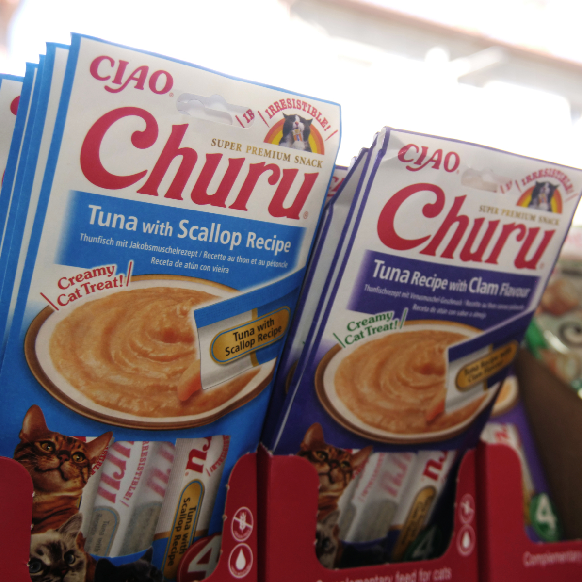 Churu