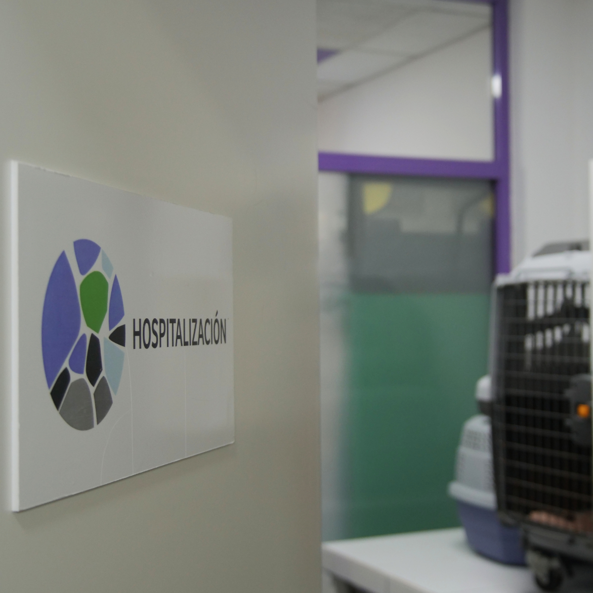Hospitalización veterinaria